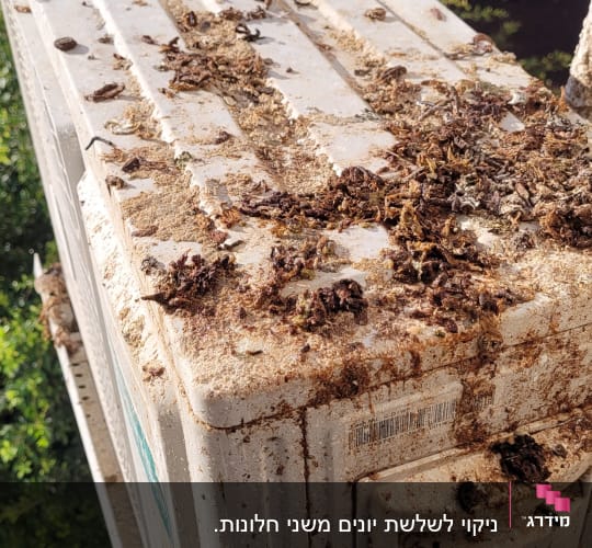 מזגן מלוכלך עם עלים יבשים ולכלוך על פני השטח